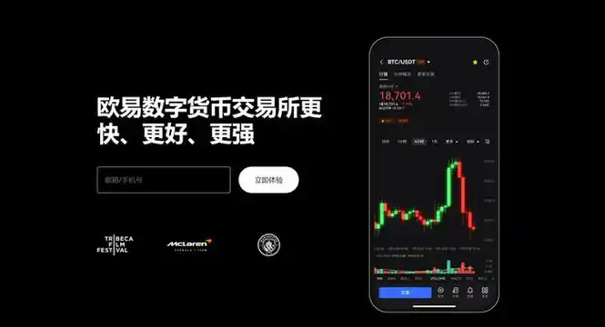 ok 软件下载系统展示图